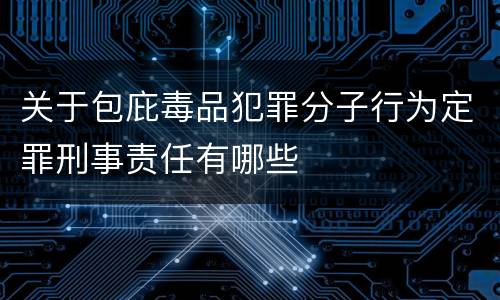 关于包庇毒品犯罪分子行为定罪刑事责任有哪些