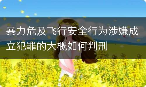暴力危及飞行安全行为涉嫌成立犯罪的大概如何判刑