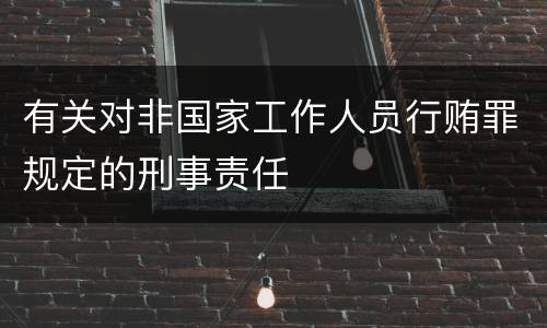 有关对非国家工作人员行贿罪规定的刑事责任
