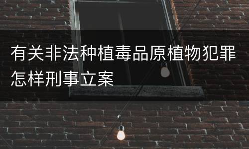 有关非法种植毒品原植物犯罪怎样刑事立案
