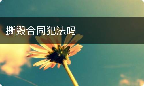 撕毁合同犯法吗