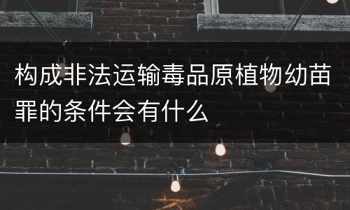 构成非法运输毒品原植物幼苗罪的条件会有什么