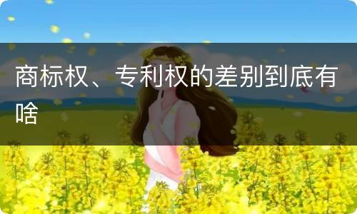 商标权、专利权的差别到底有啥