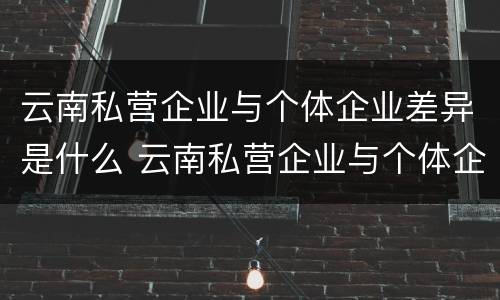 云南私营企业与个体企业差异是什么 云南私营企业与个体企业差异是什么原因