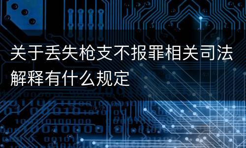 关于丢失枪支不报罪相关司法解释有什么规定
