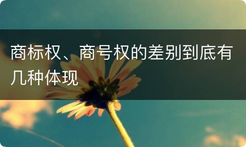 商标权、商号权的差别到底有几种体现