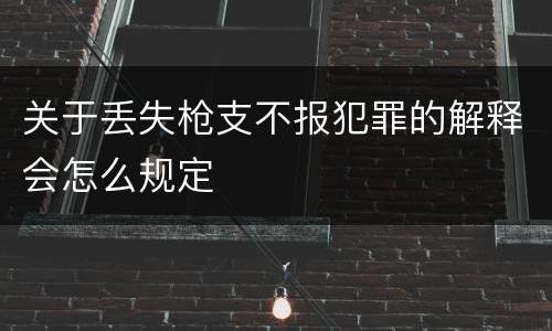 关于丢失枪支不报犯罪的解释会怎么规定