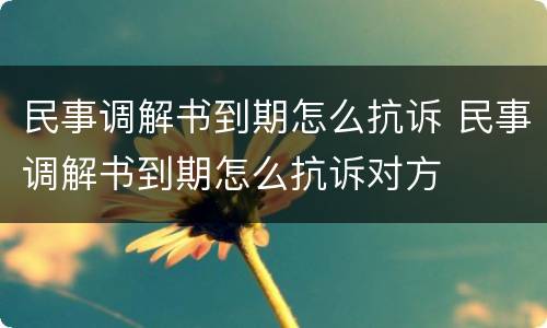 民事调解书到期怎么抗诉 民事调解书到期怎么抗诉对方