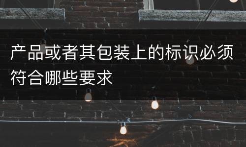 产品或者其包装上的标识必须符合哪些要求