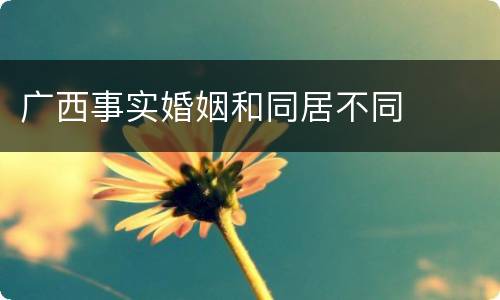 广西事实婚姻和同居不同