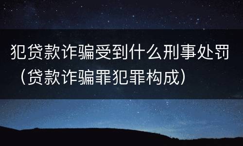 犯贷款诈骗受到什么刑事处罚（贷款诈骗罪犯罪构成）
