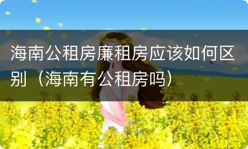 海南公租房廉租房应该如何区别（海南有公租房吗）