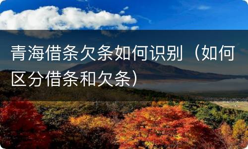 青海借条欠条如何识别（如何区分借条和欠条）