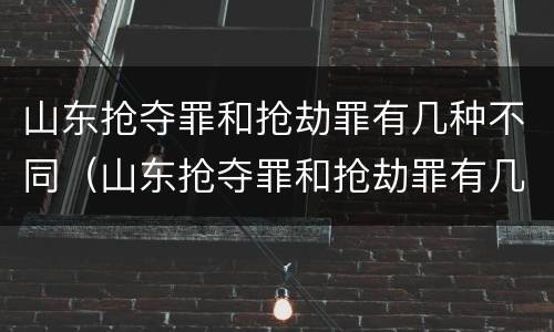 山东抢夺罪和抢劫罪有几种不同（山东抢夺罪和抢劫罪有几种不同处罚）