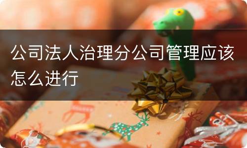 公司法人治理分公司管理应该怎么进行