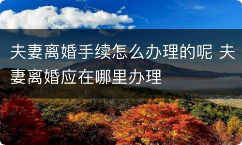 夫妻离婚手续怎么办理的呢 夫妻离婚应在哪里办理