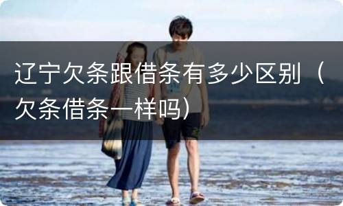 辽宁欠条跟借条有多少区别（欠条借条一样吗）