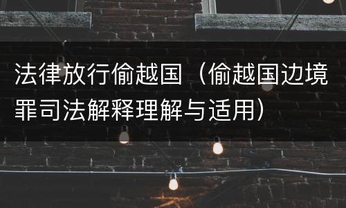 法律放行偷越国（偷越国边境罪司法解释理解与适用）