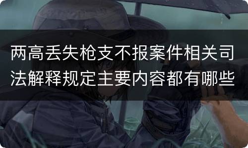 两高丢失枪支不报案件相关司法解释规定主要内容都有哪些