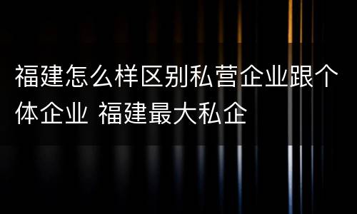 福建怎么样区别私营企业跟个体企业 福建最大私企