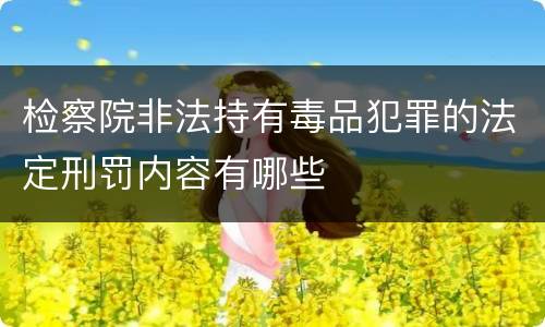 检察院非法持有毒品犯罪的法定刑罚内容有哪些