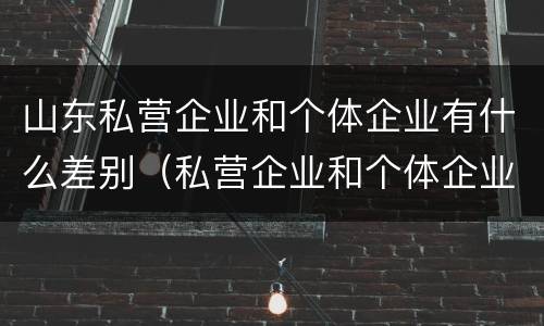 山东私营企业和个体企业有什么差别（私营企业和个体企业的区别）