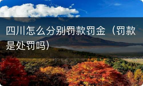 四川怎么分别罚款罚金（罚款是处罚吗）