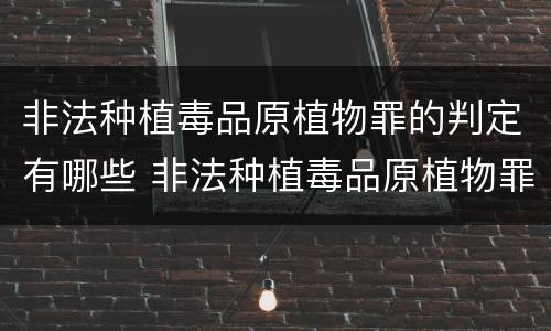 非法种植毒品原植物罪的判定有哪些 非法种植毒品原植物罪的判定有哪些标准