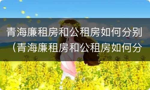 青海廉租房和公租房如何分别（青海廉租房和公租房如何分别使用）