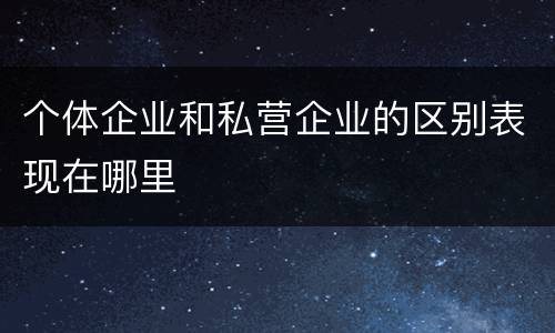 个体企业和私营企业的区别表现在哪里