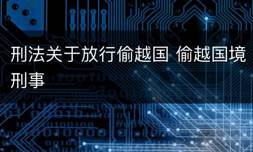 刑法关于放行偷越国 偷越国境刑事