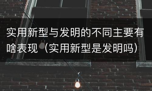 实用新型与发明的不同主要有啥表现（实用新型是发明吗）