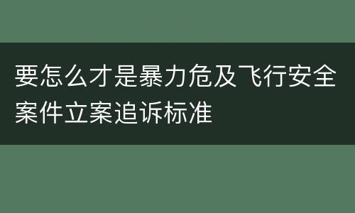 要怎么才是暴力危及飞行安全案件立案追诉标准