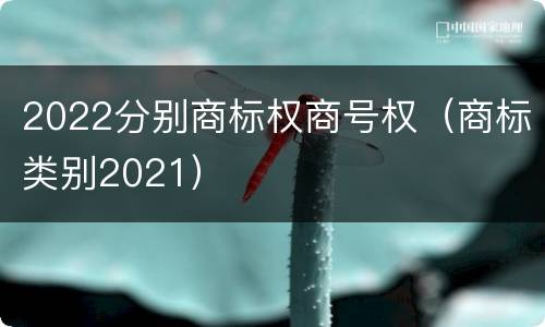 2022分别商标权商号权（商标类别2021）