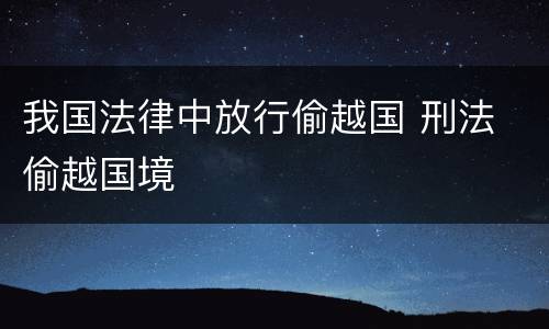我国法律中放行偷越国 刑法 偷越国境