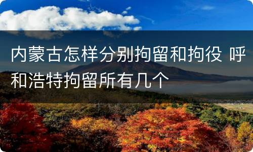 内蒙古怎样分别拘留和拘役 呼和浩特拘留所有几个