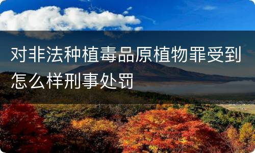 对非法种植毒品原植物罪受到怎么样刑事处罚