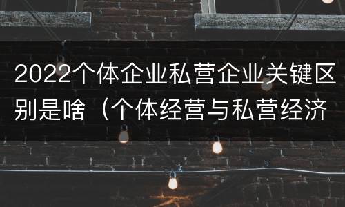 2022个体企业私营企业关键区别是啥（个体经营与私营经济的定义）