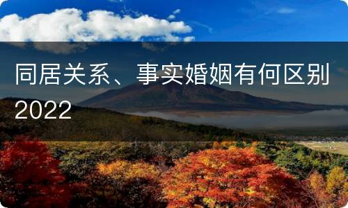 同居关系、事实婚姻有何区别2022