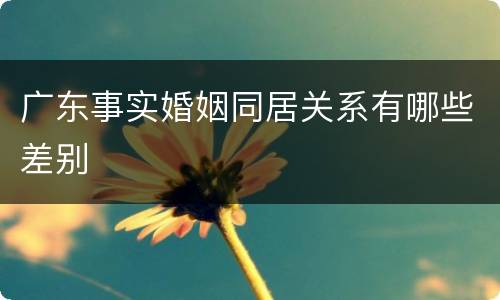 广东事实婚姻同居关系有哪些差别
