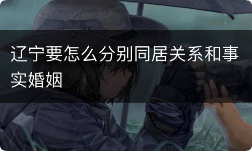 辽宁要怎么分别同居关系和事实婚姻