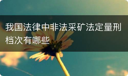 我国法律中非法采矿法定量刑档次有哪些