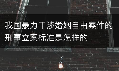 我国暴力干涉婚姻自由案件的刑事立案标准是怎样的