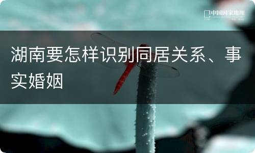 湖南要怎样识别同居关系、事实婚姻