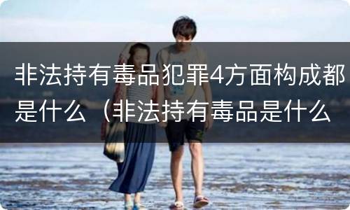 非法持有毒品犯罪4方面构成都是什么（非法持有毒品是什么犯罪类型）