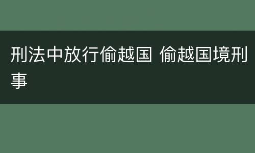 刑法中放行偷越国 偷越国境刑事