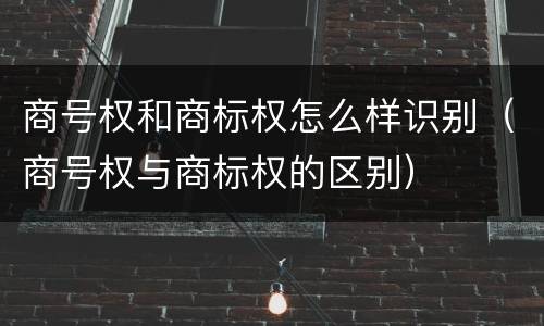 商号权和商标权怎么样识别（商号权与商标权的区别）