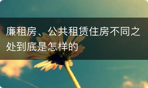 廉租房、公共租赁住房不同之处到底是怎样的