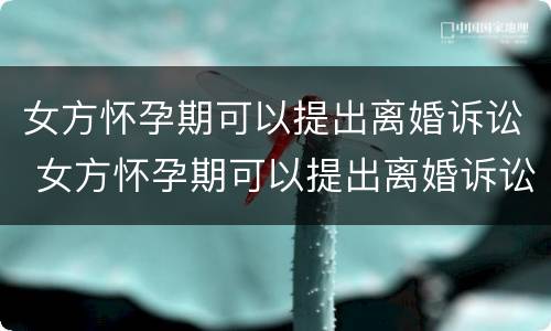 女方怀孕期可以提出离婚诉讼 女方怀孕期可以提出离婚诉讼吗