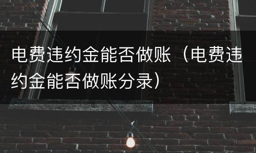 电费违约金能否做账（电费违约金能否做账分录）